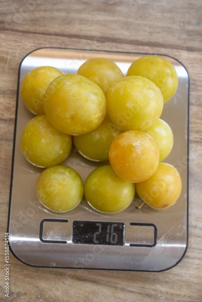 Fototapeta portion control: fresh mirabelle plums on a kitchen scale