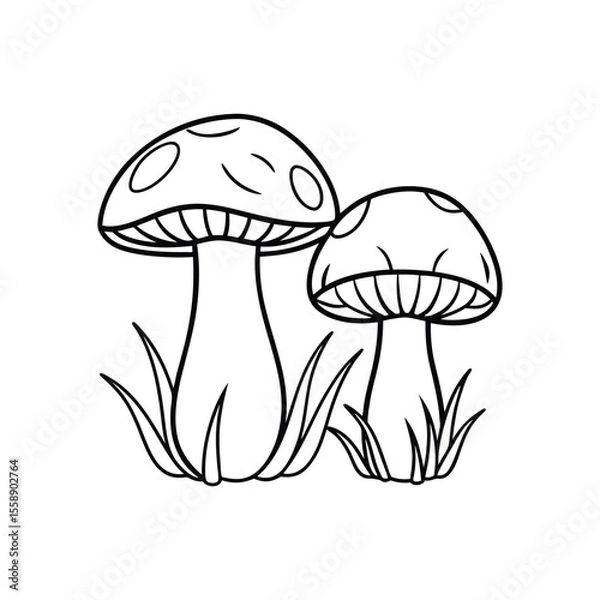 Fototapeta Simple outline drawing of two mushrooms growing in grass.