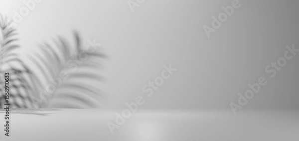 Obraz A minimalist black and white studio background with soft shadows of palm leaves on a blank white wall and floor, providing elegant copy space for product displays or abstract presentations.