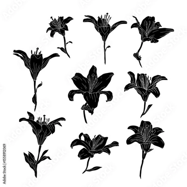 Fototapeta Hand drawn black silhouette of lily bloom with stem and leaf linocut. Monochrome birth month May flower. Botanical vector illustration isolated on white.