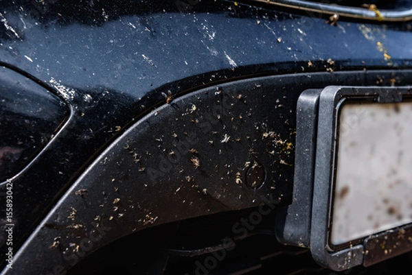 Fototapeta Killed insects on the bumper of the car, broken midges.