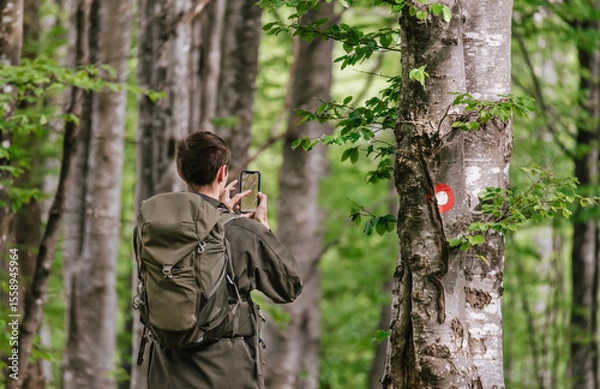 Obraz Man Using Map App on Phone in Forest