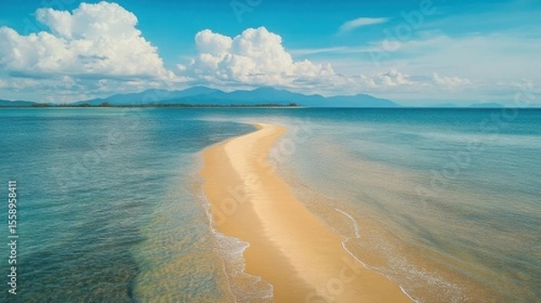 Fototapeta Tranquil Sandy Beach Pathway Leading to Clear Blue Ocean Horizon