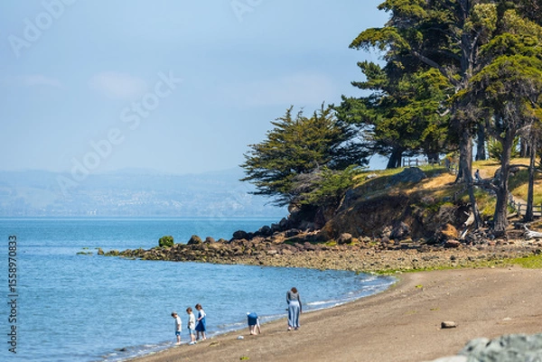 Fototapeta Coyote Point Recreation Area in San Mateo County features a peaceful shoreline with trees, rocks, and people walking by the calm waters of the San Francisco Bay on a sunny day