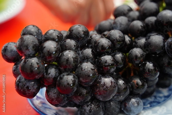 Obraz Glossy Black Grapes in Close-Up with Water Droplets