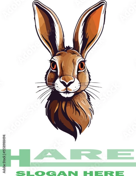 Fototapeta Hare logo vector white background .