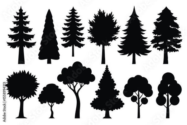 Fototapeta Collection of black silhouettes various tree types