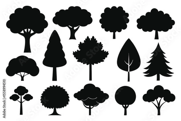 Fototapeta Collection of black silhouettes various tree types