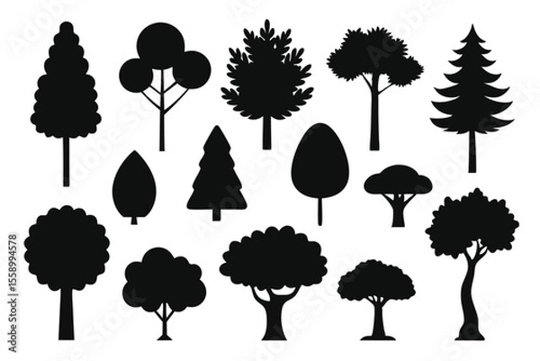 Fototapeta Collection of black silhouettes various tree types
