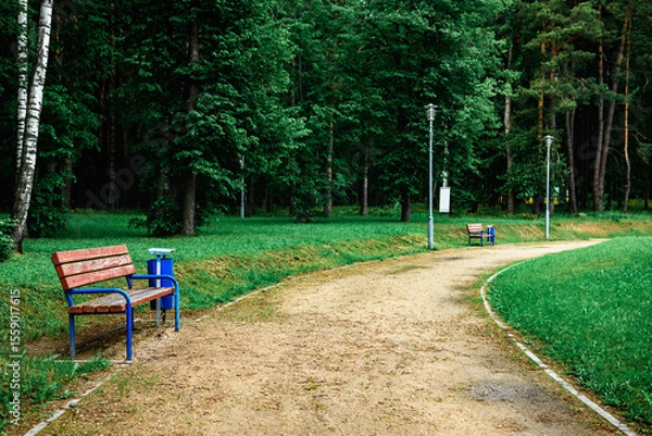 Fototapeta Walking path with benches in the city public park.