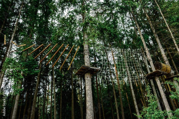 Fototapeta Rope obstacle track high in the trees, a rope course in an adventure park in a pine forest, climbing track in adventure park.