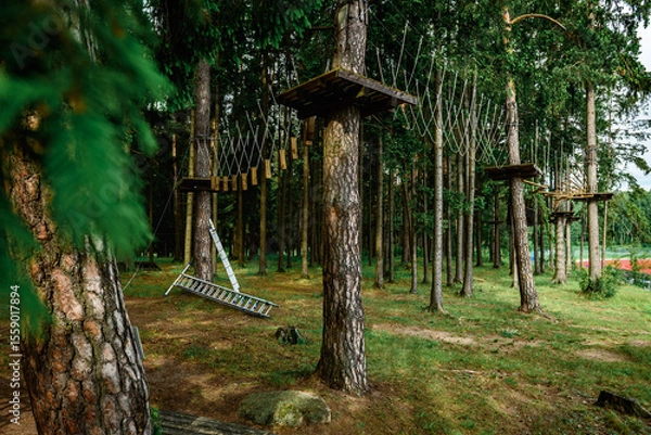 Fototapeta Rope obstacle track high in the trees, a rope course in an adventure park in a pine forest, climbing track in adventure park.