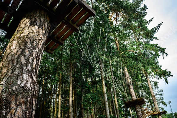 Fototapeta Rope obstacle track high in the trees, a rope course in an adventure park in a pine forest, climbing track in adventure park.
