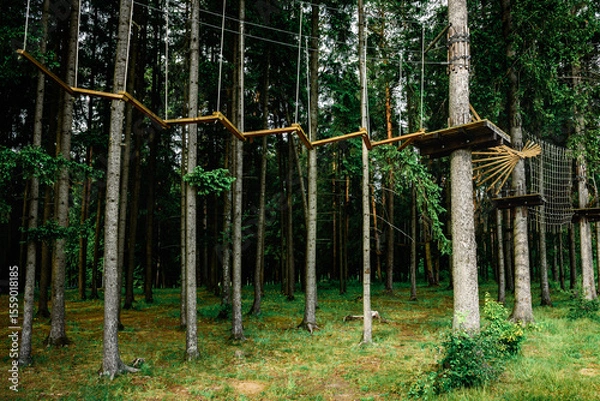 Fototapeta Rope obstacle track high in the trees, a rope course in an adventure park in a pine forest, climbing track in adventure park.