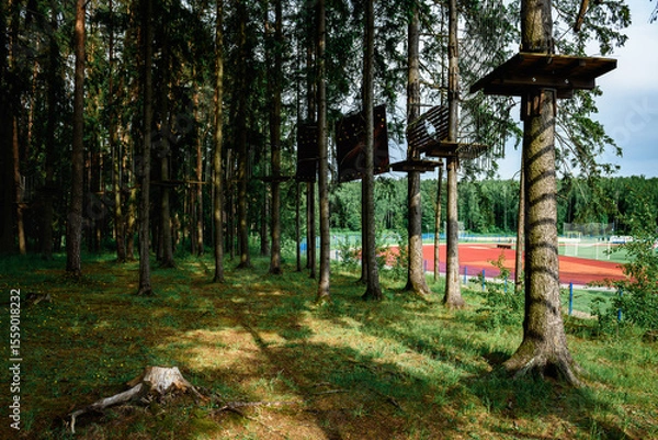 Fototapeta Rope obstacle track high in the trees, a rope course in an adventure park in a pine forest, climbing track in adventure park.