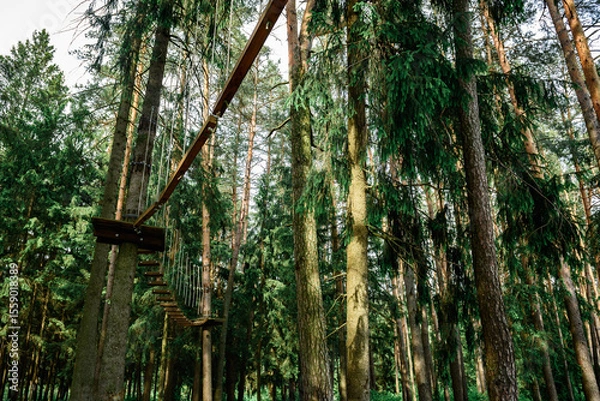 Fototapeta Rope obstacle track high in the trees, a rope course in an adventure park in a pine forest, climbing track in adventure park.