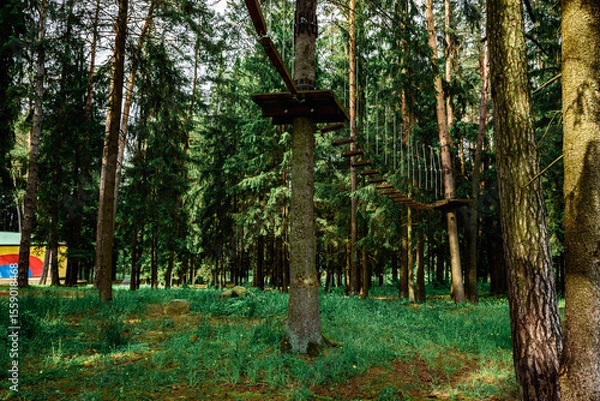 Fototapeta Rope obstacle track high in the trees, a rope course in an adventure park in a pine forest, climbing track in adventure park.