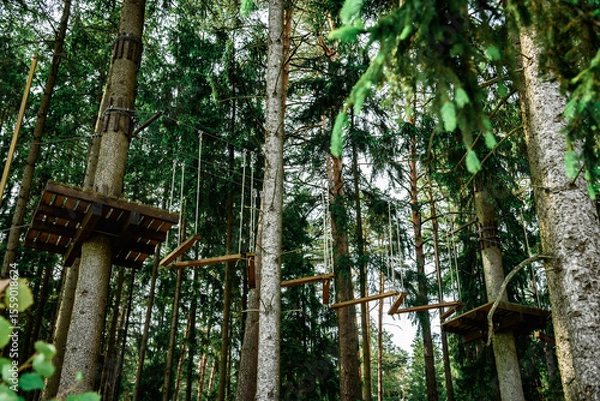 Fototapeta Rope obstacle track high in the trees, a rope course in an adventure park in a pine forest, climbing track in adventure park.