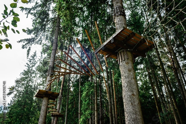 Fototapeta Rope obstacle track high in the trees, a rope course in an adventure park in a pine forest, climbing track in adventure park.