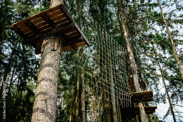 Fototapeta Rope obstacle track high in the trees, a rope course in an adventure park in a pine forest, climbing track in adventure park.