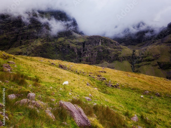 Fototapeta The lonely sheep in the foreground contrasts beautifully with the majestic and imposing mountain range, natures tranquil power is evident.