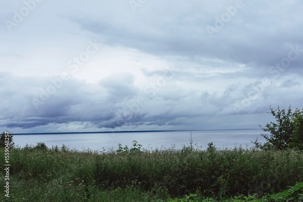 Obraz fog over the river