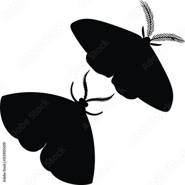 Fototapeta 2 Vector black moth silhouette isolated on white background