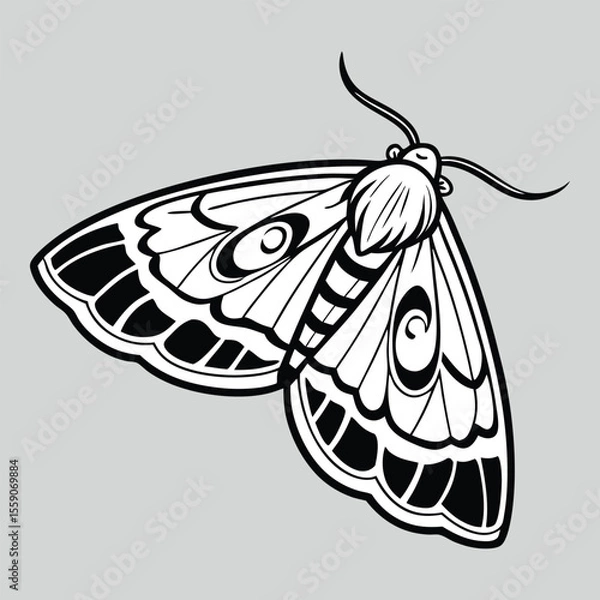 Fototapeta butterfly on a white background