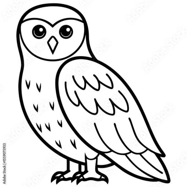 Obraz Snowy Owl Line Art Vector