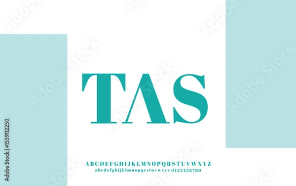 Fototapeta Bold and Stylish Serif Font for Professional Branding and Display Use
