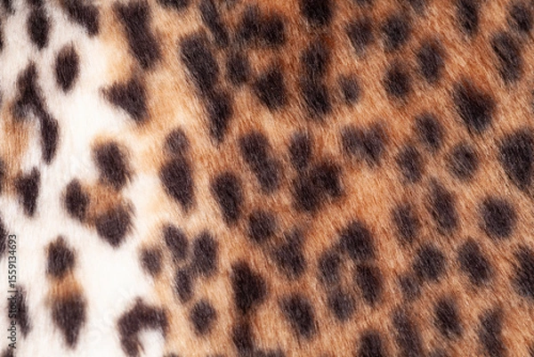 Obraz Leopard fur texture background close up