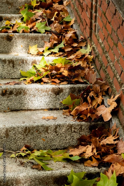 Fototapeta Fall leaves background. Fallen maple leaves on the old textured stone staircase - fall October landscape, retro tones applied
