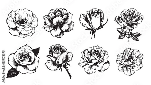 Fototapeta set of flowers vector illustration