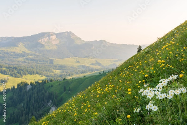Obraz The Berner Oberland region blends dramatic alpine peaks with rolling green hills, dotted with wooden chalets and grazing cows. A picture-perfect Swiss landscape full of charm and serenity.