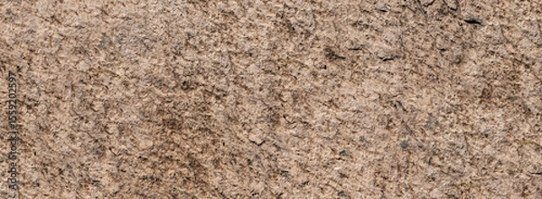Fototapeta Rough and irregular light brown natural stone surface texture