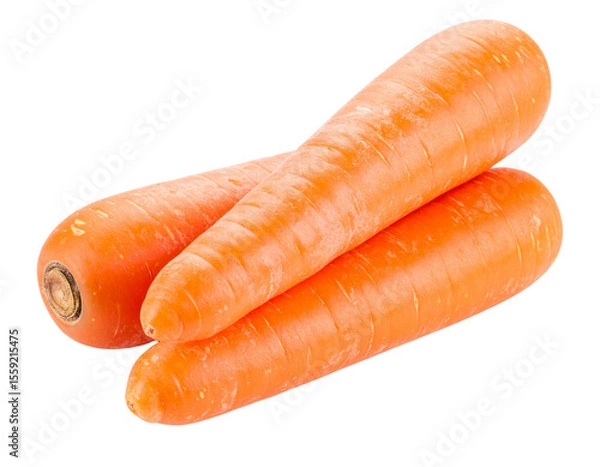 Fototapeta Three fresh carrots isolated on transparent background