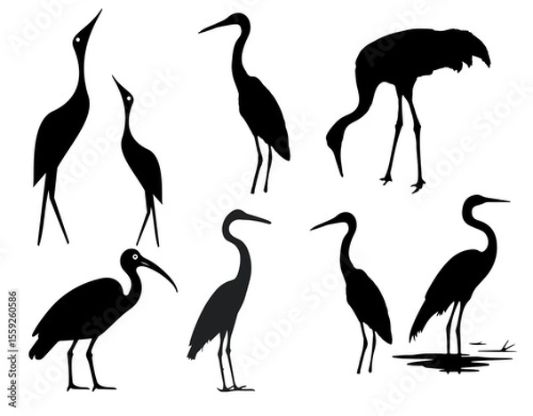 Fototapeta Heron Bird Silhouette Vector Set – Flying, Standing, Walking, Running & Dancing Poses on White Background