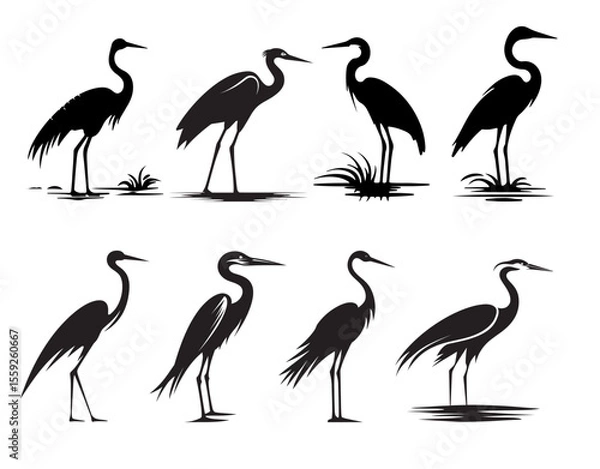 Fototapeta Heron Bird Silhouette Vector Set – Flying, Standing, Walking, Running & Dancing Poses on White Background