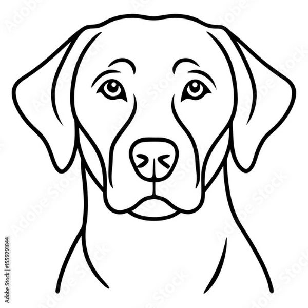 Obraz Chesapeake Bay Retriever Silhouette Vector
