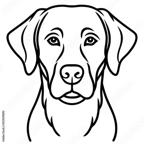 Obraz Chesapeake Bay Retriever Silhouette Vector