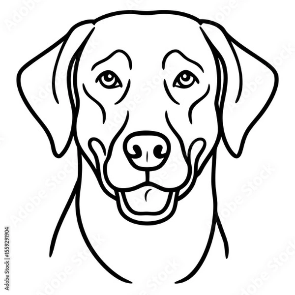 Obraz Chesapeake Bay Retriever Silhouette Vector