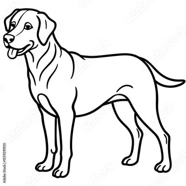 Obraz Chesapeake Bay Retriever Silhouette Vector