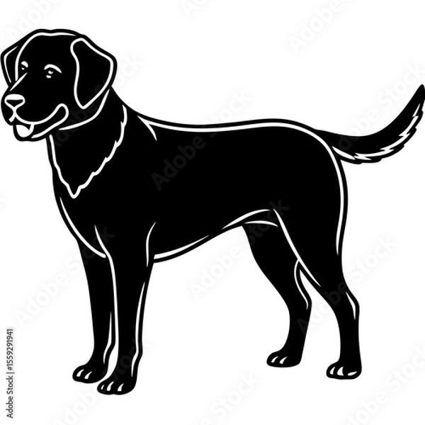 Obraz Chesapeake Bay Retriever Silhouette Vector