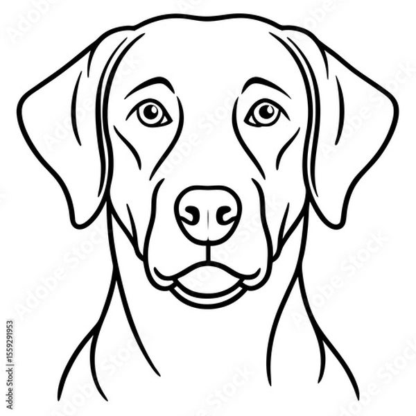 Obraz Chesapeake Bay Retriever Silhouette Vector