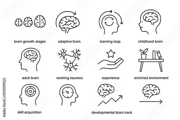 Obraz Brain development stages and neural adaptation icons