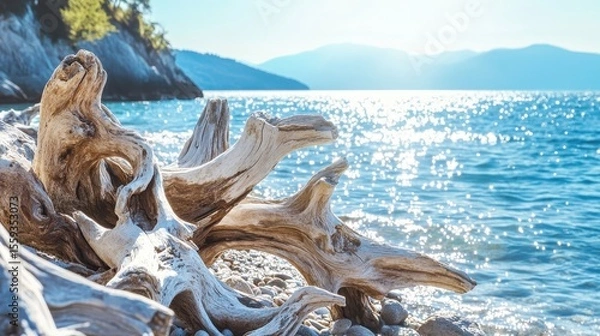 Fototapeta Scenic Driftwood on Serene Beach with Sparkling Ocean View