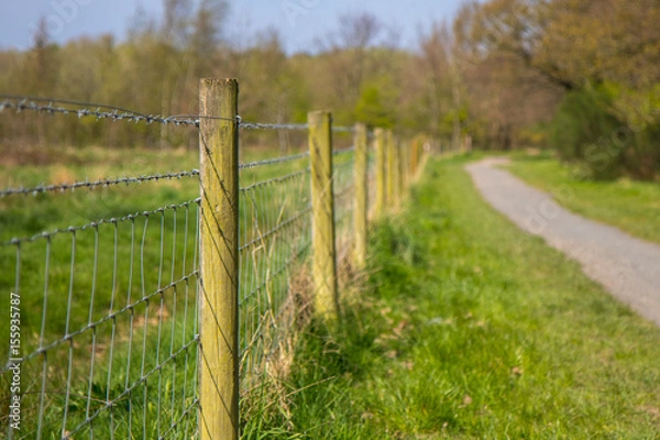 Obraz Bard wire fence