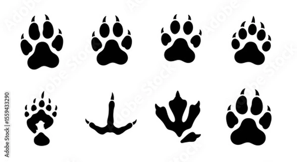 Obraz Collection of animal footprints including mammal and avian tracks in a graphic illustration style