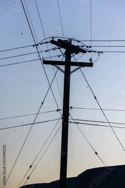 Fototapeta Phone lines criscross in the desert