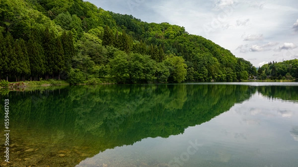 Obraz 湖面に映る新緑の森　中綱湖　長野県大町市